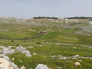 הר ברכה: תיאור גאוגרפי, התפתחות היישוב, מוסדות ועסקים ביישוב