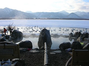 Cygnes au lac Kussharo dans le parc national d'Akan en octobre 2005.