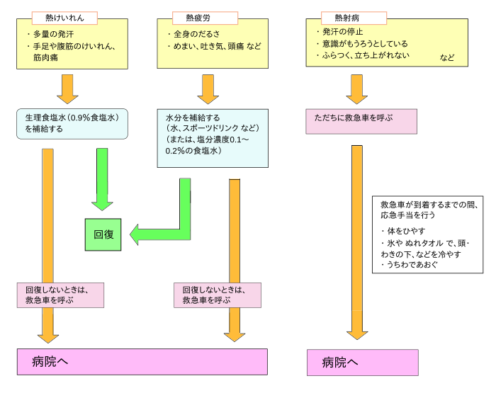 中学校保健 応急手当 Wikibooks