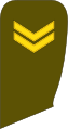 Seržantas (Lithuanian Land Force)[54]