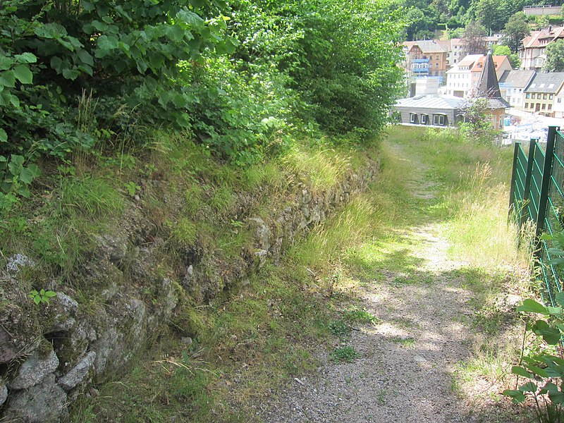 File:14 Triberg Castle.JPG