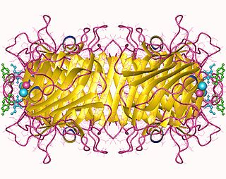 <span class="mw-page-title-main">Soybean agglutinin</span>