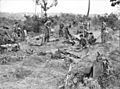 Members of C Company, 2/48th Battalion digging in on Collins Ridge on 5 May