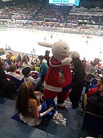 another rabbit of the tournament mascots from Bob and Bobek by Vladimir Jiranek. 2015 IIHF World Championship - DEN vs FIN (6).jpg