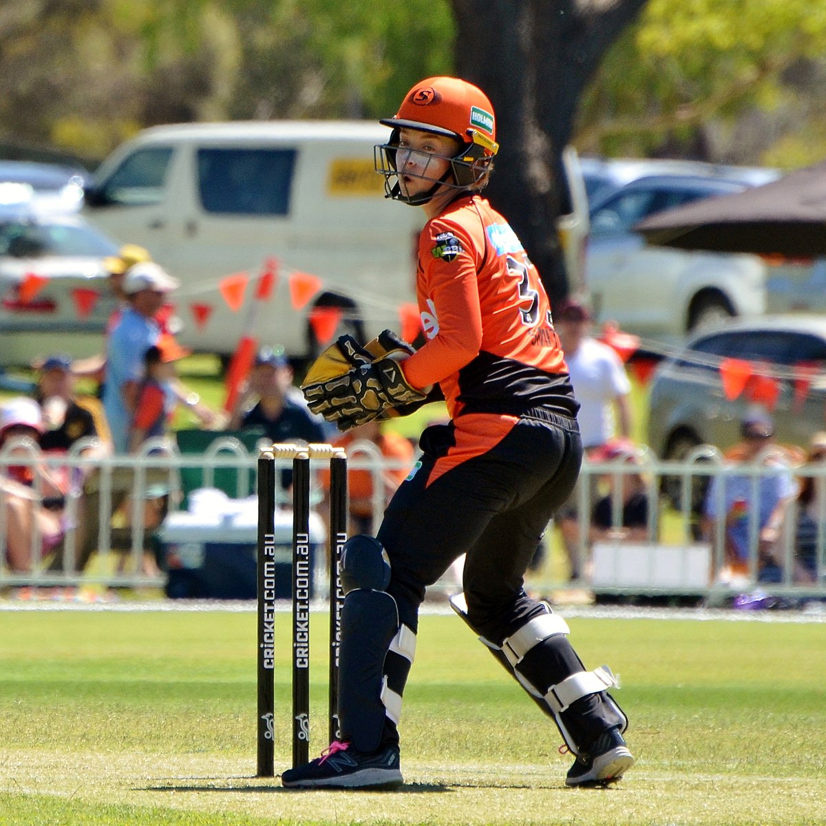 Smith born. Крикет игрок. Perth Scorchers Cricket Captain. Smith 3 1/2.