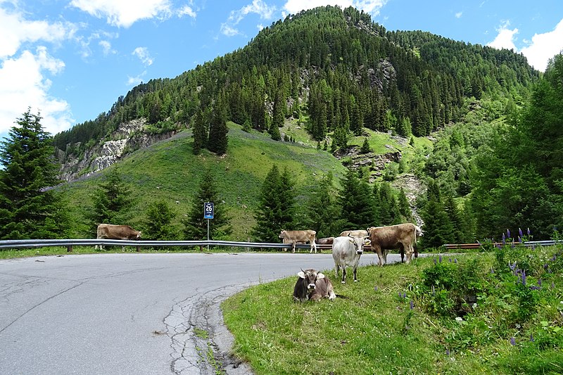 File:20180622 13 Kaunertal Gletscherstrasse (42146594965).jpg