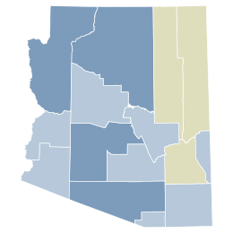 2020 Arizona Proposition 207 resultatenkaart door county.svg