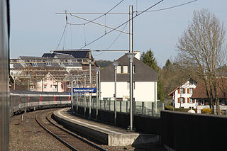 <span class="mw-page-title-main">Benzenschwil railway station</span>