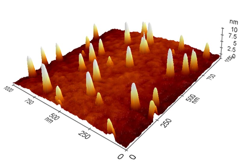 File:AFM 3D Topography Image of Silver Nanoparticles on Chitosan Film.tif