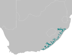 Maputaland-Pondoland Scrub