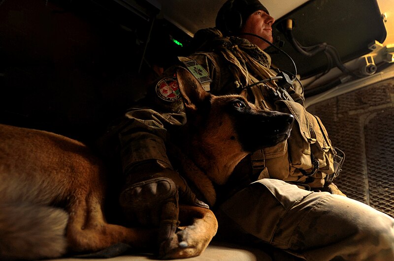 File:A Man and his Bomb Dog (4478932186).jpg