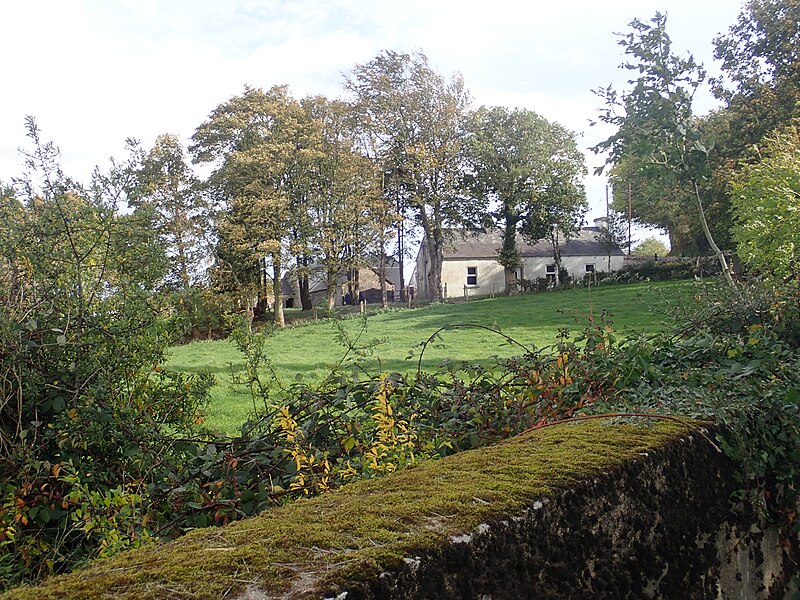 File:A disused homestead on the Cavan Road - geograph.org.uk - 5939338.jpg