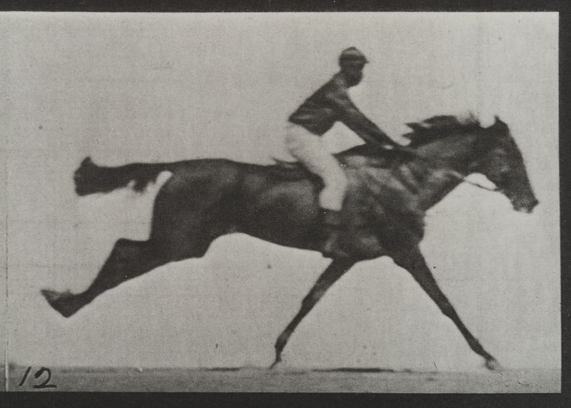 File:A galloping horse and rider. Plate 12 Wellcome L0038068.jpg