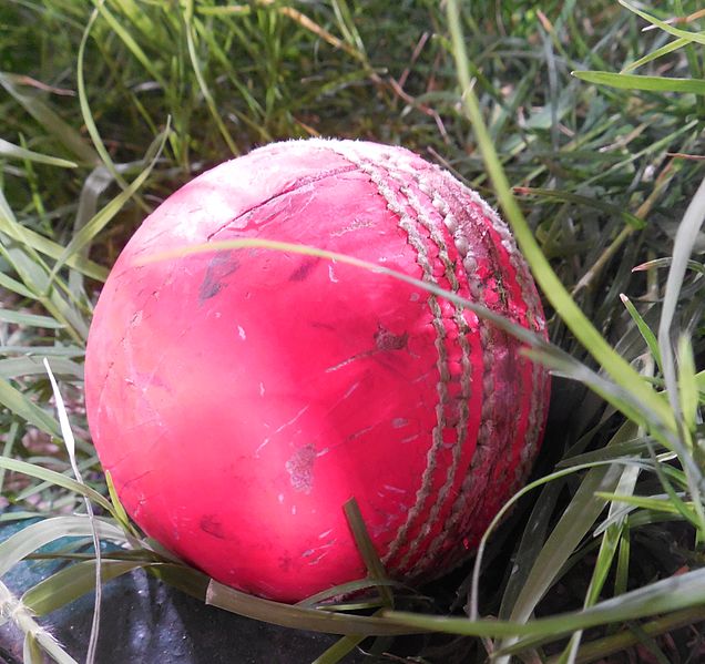 File:A used pink ball at the 2014 English county season launch in UAE.JPG