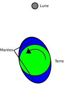 Diagramme montrant les effets de l'accélération par effet de marée exercée par la Lune sur la Terre.