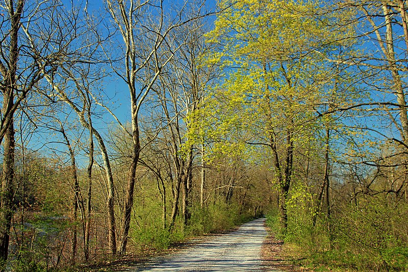 File:Access Road (8687993452).jpg