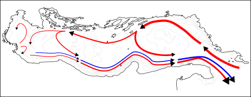 Schematic layout of Adriatic Sea currents.mw-parser-output .legend{page-break-inside:avoid;break-inside:avoid-column}.mw-parser-output .legend-color{display:inline-block;min-width:1.25em;height:1.25em;line-height:1.25;margin:1px 0;text-align:center;border:1px solid black;background-color:transparent;color:black}.mw-parser-output .legend-text{}  surface currents   benthic currents