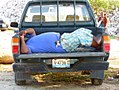 Afternoon nap at Lac Cai (Bonaire 2014) (15545031938).jpg