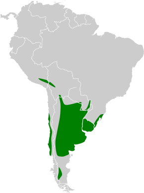 Az Agelasticus thilius map.svg kép leírása.