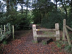 Ahead the golfers - Little Aston, Staffs - geograph.org.uk - 3717682.jpg