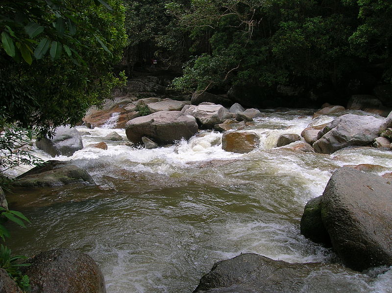 File:Alam semulajadi sekitar hilir Air Terjun Chamang, Bentong, Pahang 2.JPG