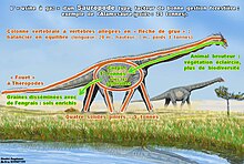 Titanosaure : les œufs d'un des plus grands dinosaures ayant foulé la Terre  découverts par centaines