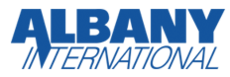 The word "Albany" in bolded sans-serif capitals of even stroke weight, with the right leg of the "A" becoming a descender, forming the diagonal of the "N", in the word "International" below, oblique in a much more lightweight stroke. Both words are rendered in dark blue.