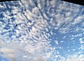 Altocumulus in the morning