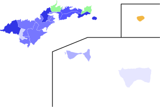 <span class="mw-page-title-main">2020 American Samoa gubernatorial election</span>