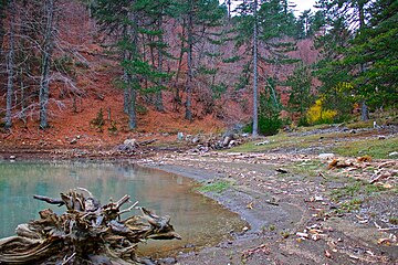 Tiedosto:Amos_Springs_Lake_Fall.jpg