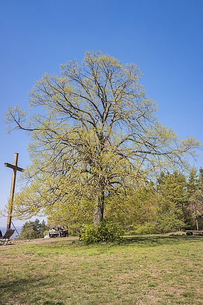 File:An der Küpser Linde 3.jpg