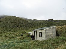 Antipodes Castaway Hut.JPG