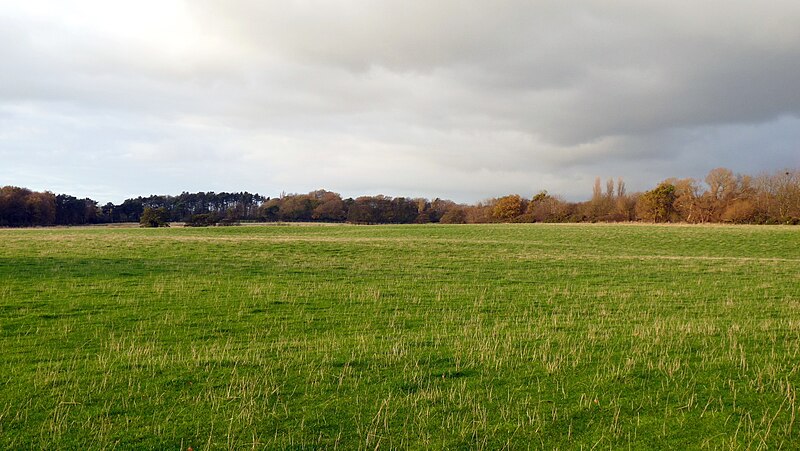 File:Argleton, view from Bold Lane.JPG