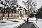 Комплекс усадьбы Боде-Колычевых в селе Спасское-Лукино