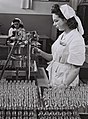 Fábrica en Petah Tikva, 1949