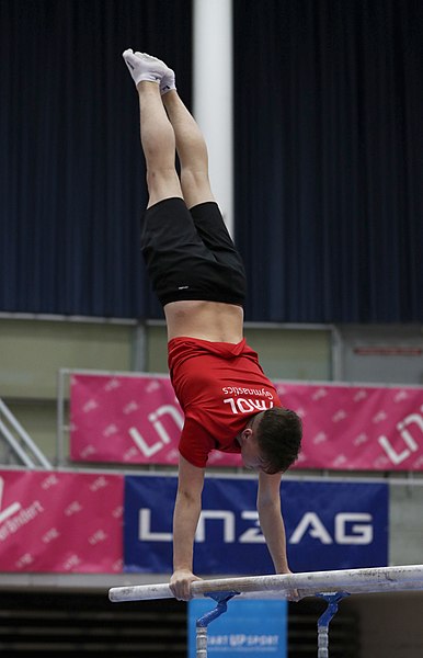 File:Austrian Future Cup 2018-11-23 Training Afternoon Parallel bars (Martin Rulsch) 0016.jpg