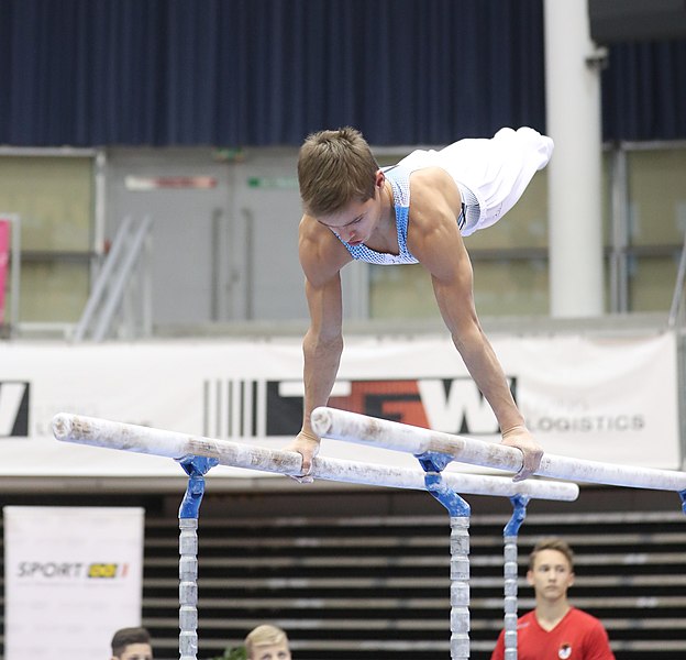 File:Austrian Future Cup 2018-11-23 Training Afternoon Parallel bars (Martin Rulsch) 0722.jpg