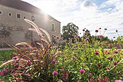 Couvent des Cordeliers depuis les jardins