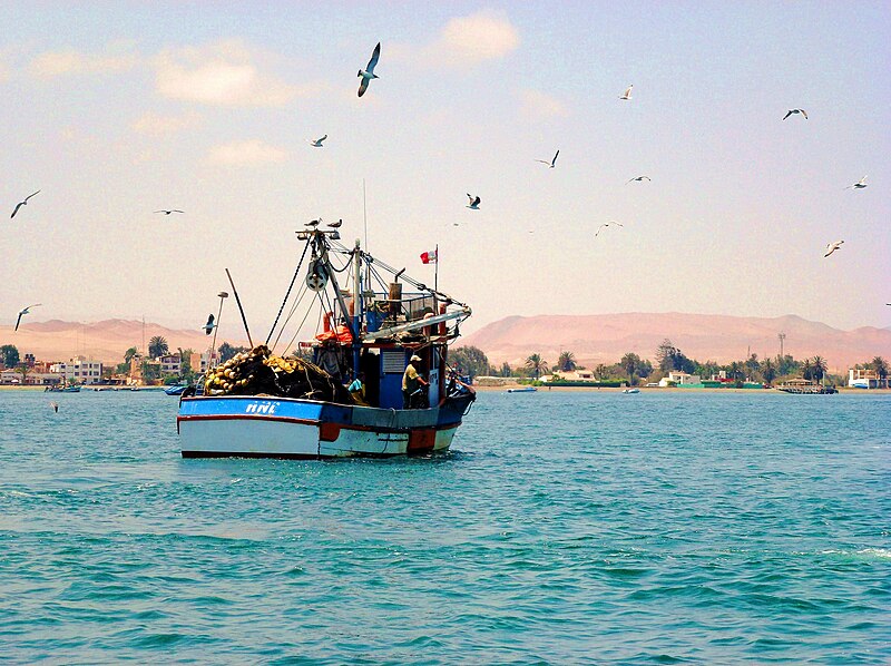 File:Ballestas Islands.- Fishing boat (2).jpg