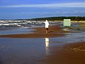 Baltic sea coast - panoramio.jpg