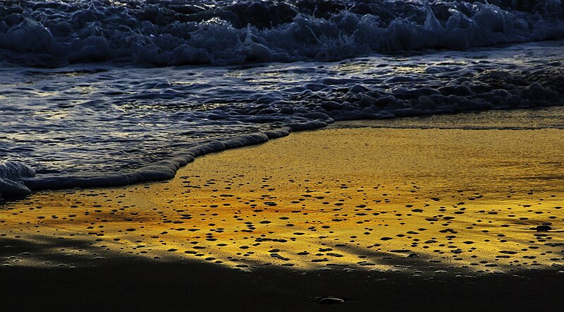 File:Bandon Beach at sunset (8983643751).jpg