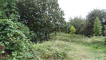 View of Barfield Allotments Nature Park from playground Barfield Allotments Nature Park.JPG