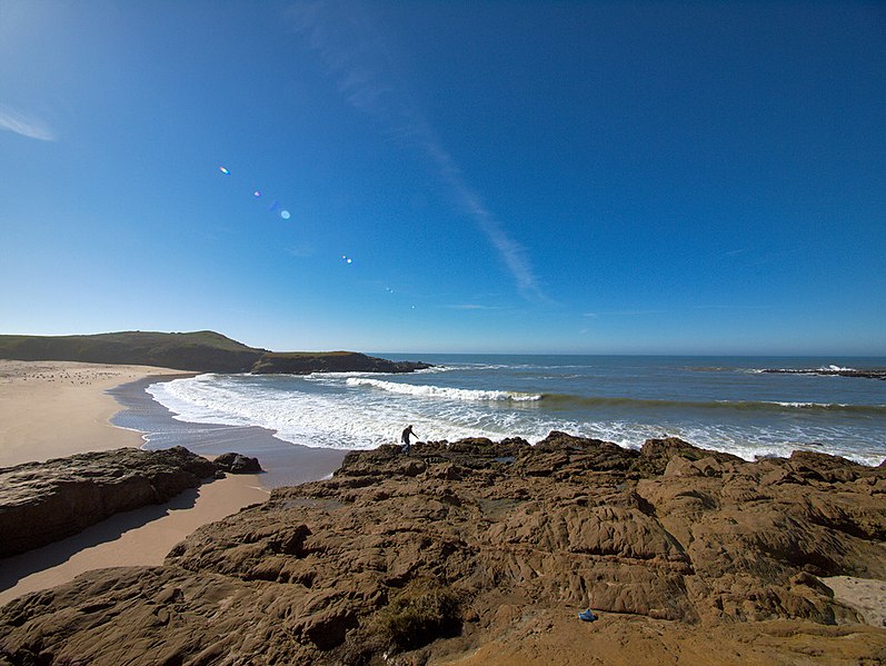 File:Bean Hollow state beach (5572904510).jpg