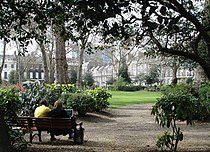 Bedford gardens.jpg