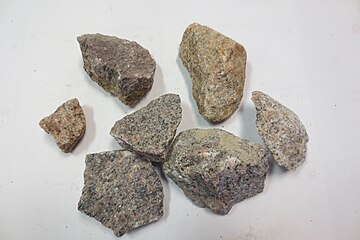 Biotite-bearing granite samples (small black minerals).