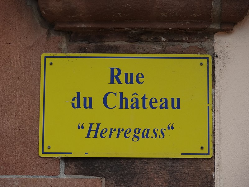 File:Bischwiller - Rue du Château.jpg