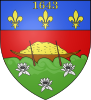 Escudo d'a  Guayana Francesa