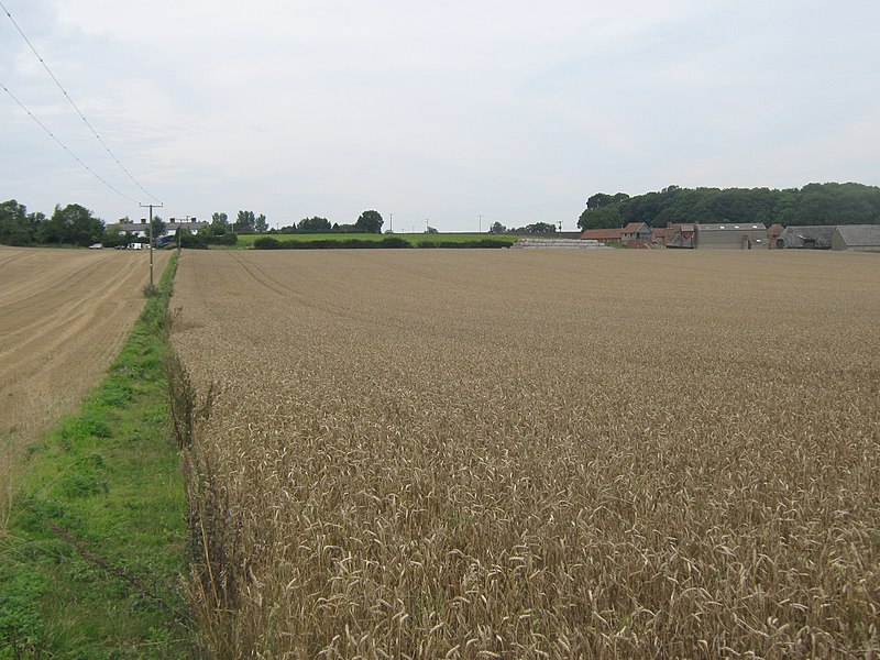 File:Bridleway to Old Court Cottages - geograph.org.uk - 2056795.jpg