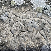 Horse carving on a coping stone BrigODeeHorse.jpg