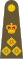 British Army OF-6.svg